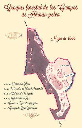 El origen de Hernán Pelea