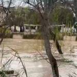 Clip rescatado del vídeo.