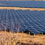 Una planta fotovoltaica de Ence.