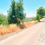 Kilómetro 13 de la A-6204, vía que une Villacarrillo y Mogón. / Google Maps.