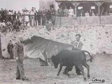 Tauromaquia ilustrada