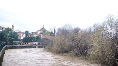 Río Guadalquivir, a su paso por Villanueva de la Reina. / Fotografías: Juan Antonio Peinado.