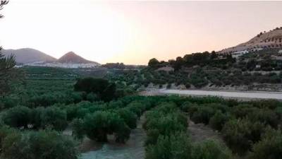 Trabajos en la parcela donde se construye la planta de secado de estiércol. / Ecologistas en Acción. 