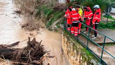 Bomberos retiran un tronco del cauce del río Jaén en Punete Jontoya. Archivo.