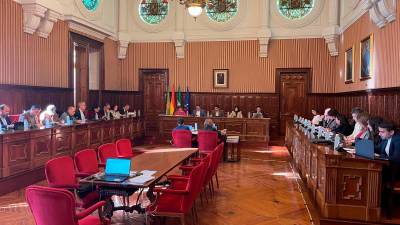 Celebración del pleno ordinario de la Diputación de Jaén. / Diputación de Jaén.