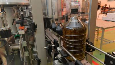 Embotellado de aceite de oliva en una cooperativa jiennense. / Agustín Muñoz / Diario JAÉN. 