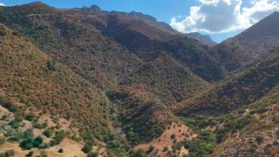Cornetal del Barranco del Perú, en Sierra Mágina.