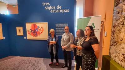 Inauguración de la muestra, este viernes, en el Museo Provincial. / Junta de Andalucía.