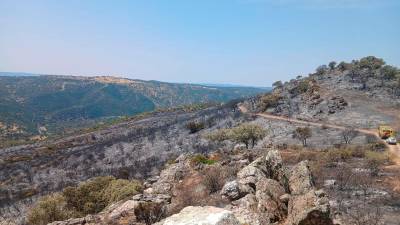 Estado del paraje “Peñón del Tamujar”, esta tarde. / Infoca.