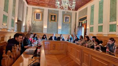 Salón de plenos del Ayuntamiento de Bailén con la corporación municipal reunida. / Ayuntamiento de Bailén.