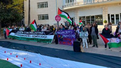 Concentración de la plataforma Jaén con Palestina frente a la Subdelegación del Gobierno. / Álex Gómez / Diario JAÉN.