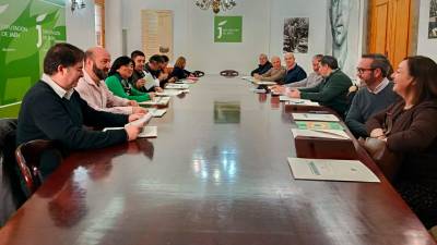 Reunión de Paco Reyes y Francisca Medina con las ADR en la Diputación de Jaén. / Adrián Claudio Boanche / Diario JAÉN.