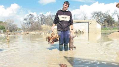 Un vecino de Mengíbar muestra un cerdo y varias gallinas muertas después de la crecida del río a su paso por el municipio. / Archivo Histórico de Diario JAÉN.
