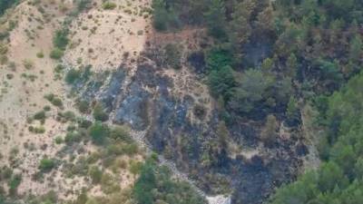 Zona donde se produjo el incendio que ya se encuentra controlado. / Plan Infoca. 