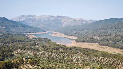 Estado del pantano del Tranco, a 28 de junio.