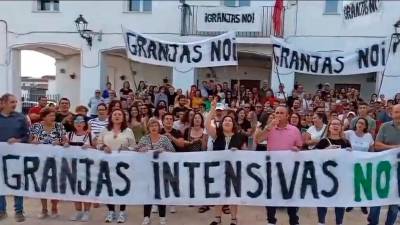 Celebración de una manifestación convocada por la plataforma. 