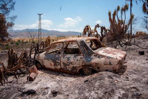 <i>Imágenes de la zona afectada por el incendio de Los Gallardos, a 12 de julio de 2026. / Francisco J. Olmo / Europa Press.</i>
