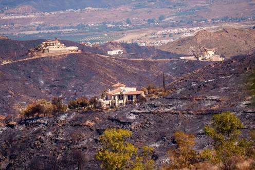 <i>La zona afectada por el incendio de Los Gallardos. / Francisco J. Olmo / Europa Press.</i>