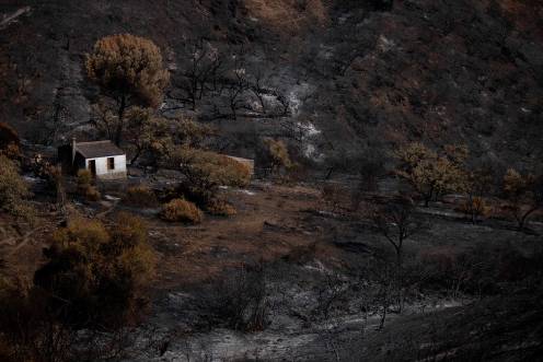 <i>El incendio de Niebla deja un paisaje desolador en Berrocal (Huelva). / Europa Press. </i>