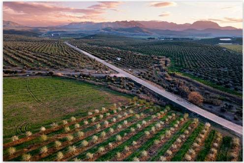 <i>Imagen ganadora IV Premio Fotografía Paisaje Jiennense IEG. / Diputación de Jaén. </i>