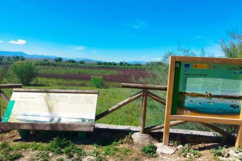 <i>Laguna Grande de Baeza.</i>
