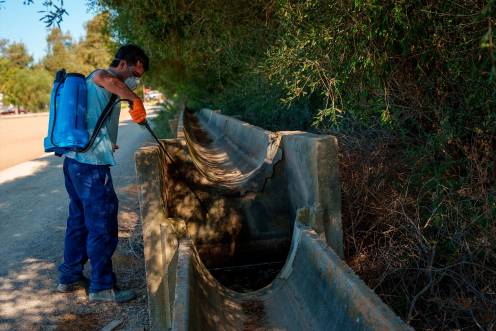 <i>Operarios realizan trabajos de control y tratamiento de mosquitos transmisores del virus del Nilo occidental. / Francisco J. Olmo / EUropa Press. </i>