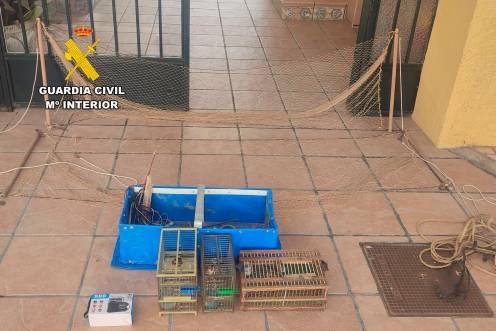 <i>Aves fringílidas rescatadas en Jaén por la Guardia Civil. / Guardia Civil. </i>