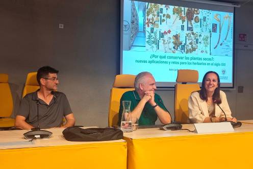 <i>Marta Torres, Carlos Salazar y Juan Lorite Moreno. / UJA. </i>