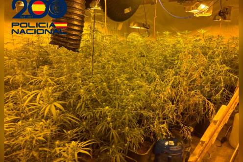 <i>Plantación “indoor” de marihuana oculta en el sótano de una vivienda. / Policía Nacional de Jaén.</i>