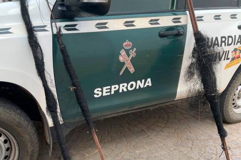 <i>Vehículo del dispositivo Seprona de la Guardia Civil. / Guardia Civil.</i>