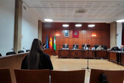 <i>La acusada durante el juicio por la red de estafas a aseguradoras con accidentes de tráfico simulados. / Europa Press.</i>