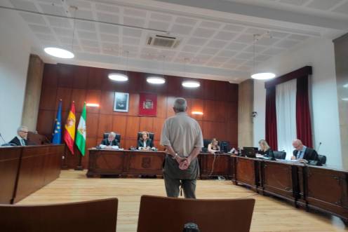 <i>El acusado prestando declaración ante el tribunal que le ha juzgado en la Audiencia de Jaén. / Europa Press. </i>