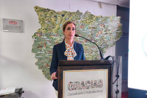 <i>Manuela Rosa Jaenes, adjunta a la Dirección de Narrativa y Emociones de Diario JAÉN. / Agustín Muñoz.</i>