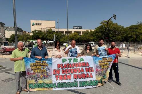 <i>Participantes en la rueda de prensa para informar de la protesta. / Plataformas en defensa del ferrocarril. </i>