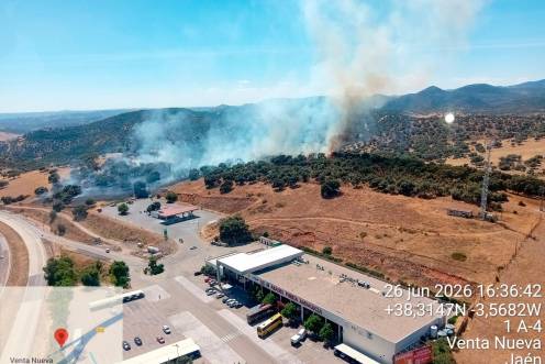 <i>Incendio forestal declarado en Santa Elena. / Infoca. </i>