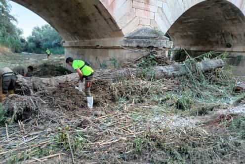 <i>Labores de limpieza en la zona. / Ayuntamiento de Jaén</i>