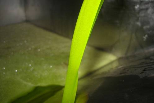 <i>Aceite de oliva en almazara. Archivo.</i>