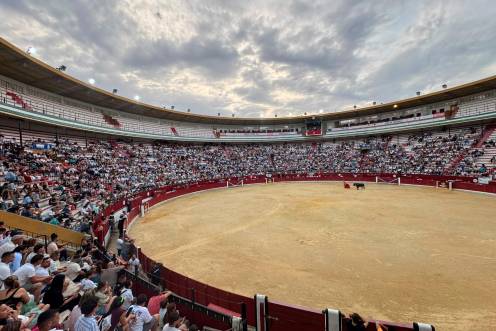 <i>Plaza de Toros de Jaén. / Tauroemoción.</i>