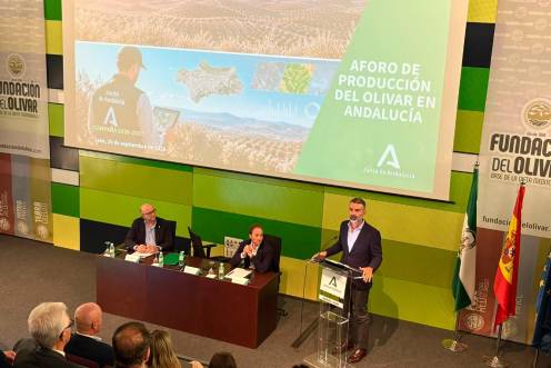 <i>Manuel Gómez, Erik Domínguez y Ramón Fernández-Pacheco. / Elisabeth Ruiz / Diario JAÉN. </i>
