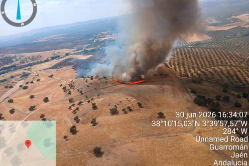 <i>Incendio activo en el Paraje Cerro Saro. / Plan Infoca. </i>