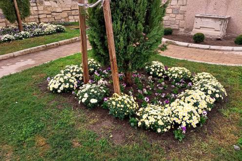 <i>Algunas de las plantas de flor que ya lucen en el centro de la ciudad. / Ayuntamiento de Jaén.</i>