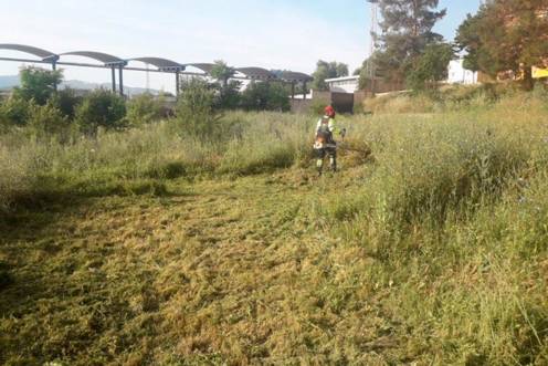 <i>Tareas de limpieza en un solar municipal. Archivo. / Ayuntamiento de Jaén.</i>