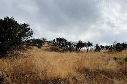 <i>El paraje de la zona del embalse de El Encinarejo, a 18 de agosto de 2025 (un año después del fuerte incendio forestal), vuelve a recuperarse. / Jason Moyano / Diario JAÉN.</i>