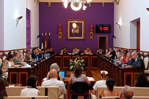 <i>Imagen del pleno celebrado hoy, viernes. / Fran Miranda / Diario JAÉN.</i>