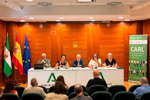 <i>Representantes de la jornada provincial de negociación colectiva, que se ha celebrado hoy en Jaén el Consejo Andaluz de Relaciones Laborales (CARL). / Junta de Andalucía. </i>