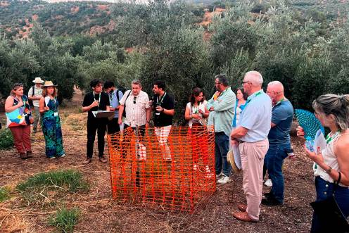 <i> Clausura del encuentro internacional y la asamblea general del proyecto europeo LivingSoiLL. / Universidad Jaén. </i>