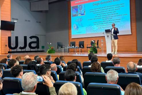 <i>Diego González mientras pronuncia la conferencia. / UJA.</i>