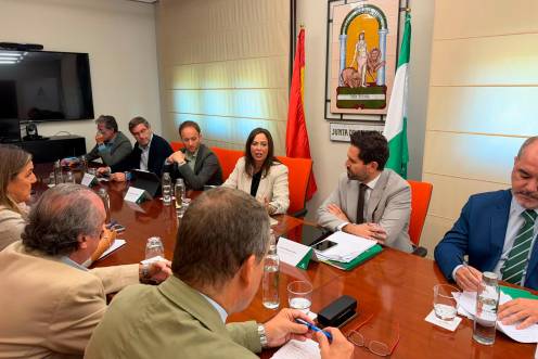 <i>La consejera Rocío Díaz se reúne con los representantes del sector de la vivienda. / Junta de Andalucía.</i>