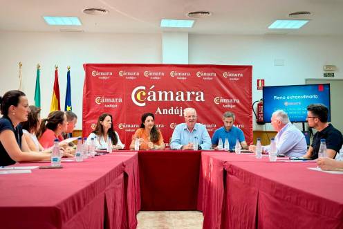 <i>Ana Mata preside el pleno extraordinario. / Junta de Andalucía.</i>