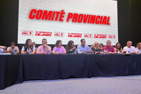 <i>Comité Provincial del PSOE. / Juanfran Paredes / Diario JAÉN.</i>